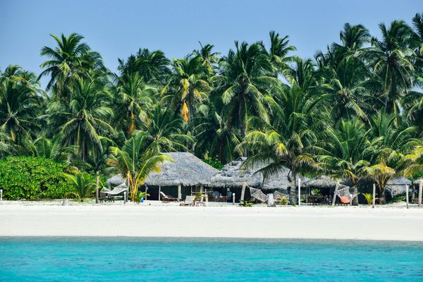 Où apprendre les techniques de sculpture sur bois en Indonésie?