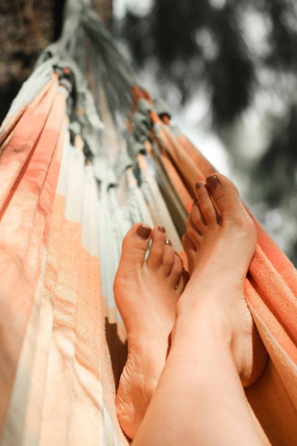 Comment choisir un hamac adapté pour un camping en région de forêt tropicale?